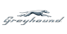 Greyhound